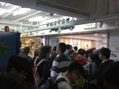 -珍妮曲奇聪明小熊(尖沙咀店)