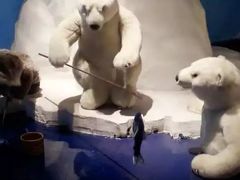 -成都泰迪熊博物馆
