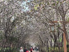 -洛阳市隋唐城遗址植物园