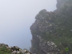 -牛背梁国家森林公园