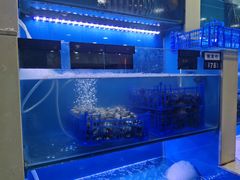 水产区-老虎滩大连海鲜烧烤(建邺云锦路总店)