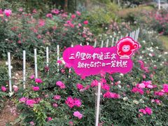 -人民公园(罗湖区)