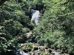 -鹿院坪生态旅游景区