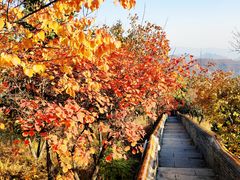-妙峰山风景名胜区