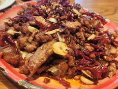 -柴窝堡22号辣子鸡·传承新疆菜