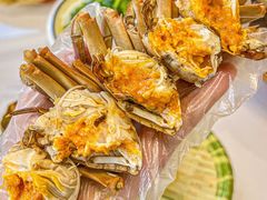 -蟹天蟹地农家菜·阳澄湖大闸蟹(浅水湾店)
