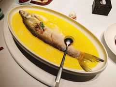 鸡汤清蒸白鱼-森隆饭庄(崇文门新世界百货店)