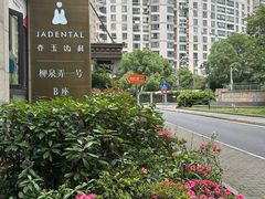 -齐玉齿科JADENTAL
