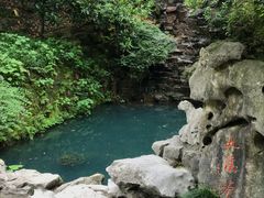 -十八棵（老龙井）御茶园(老龙井店)