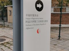 -三里屯东五街银杏大道