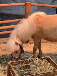 -Zoolung Zoolung动物主题公园(海信广场店)