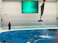 -鹿儿岛水族馆