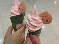 -麦当劳(SM城市广场店)