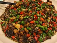 -鸡毛店·川菜(双楠店)