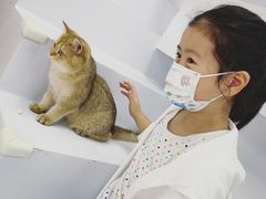 -COLOR PETS 撸猫馆·购猫·猫咖(长风大悦城店)