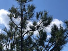 -萍乡武功山风景名胜区