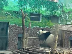 -黔灵山公园
