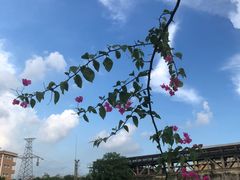 -广州市紫泥堂文化创意园景区