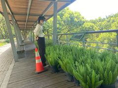 -西湖风景区-江洋畈生态公园