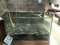 -丰乐斑鱼庄(建业·壹号城邦店)