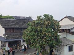 -老阿婆粽子(朱家角店)