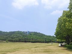 -羊山湖公园