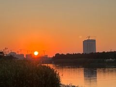 -春花秋色城市公园