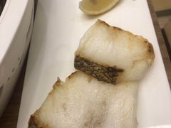 -一本钓鲔鱼屋