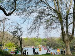 -上海共青森林公园