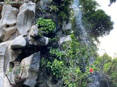 -韦记牛杂汤(清晖园店)