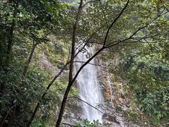 -鼎湖山风景区