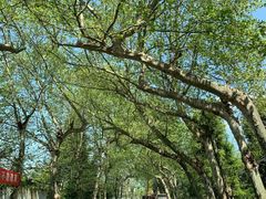 -爱乐蒙艺术·古筝 钢琴 声乐(科华校区)