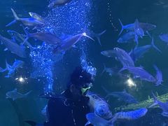 -嘉兴海底世界