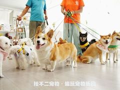 -趣玩宠物乐园寄养训犬训狗游泳池