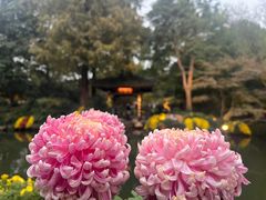-杭州植物园