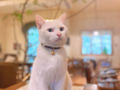 -懒鱼时光馆(沙坪坝店)