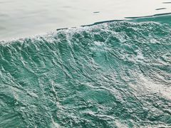 -广州市流溪河国家森林公园