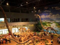 景点-自贡恐龙博物馆