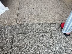 -复旦大学附属华山医院(总院)