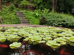 -乌山风景区