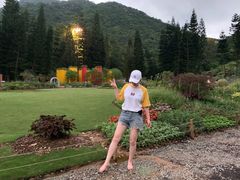 -深圳仙湖植物园-停车场