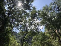 -碓臼峪自然风景区