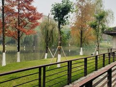 -沐仙湖湿地公园