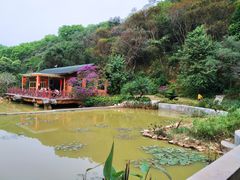 -云溪植物园
