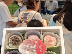 -好一朵茉莉花(老门东店)