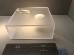 -嘉定博物馆