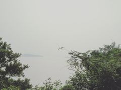 -外蒲山