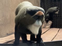 -沈阳森林动物园