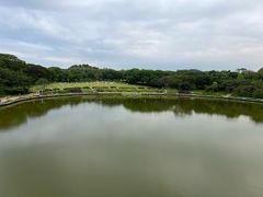 -东莞植物园