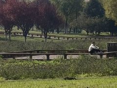 -汉长安城未央宫国家考古遗址公园